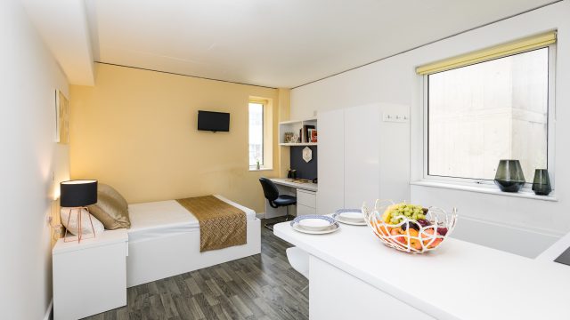 Premium Plus YARA