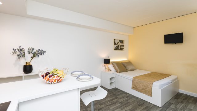 Premium Plus YARA